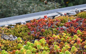 the cost of St Briavels Common green roof installation