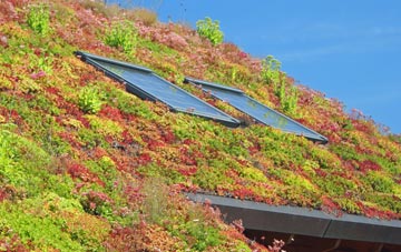 St Briavels Common living roof systems