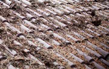 St Briavels Common roof cleaning companies